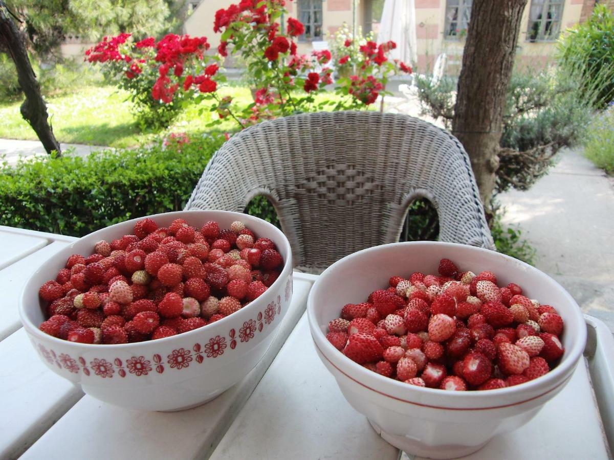 Guarene Hazelnut Valley المظهر الخارجي الصورة